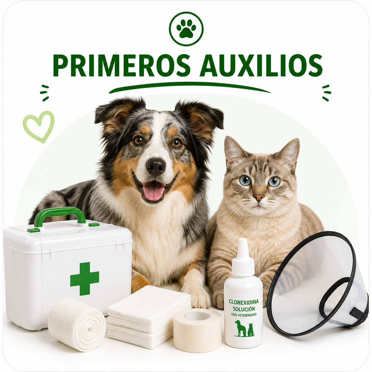 Primeros Auxilios