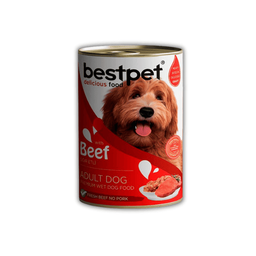 BestPet Perro Adulto Carne