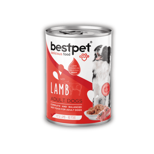 BestPet Perro Adulto Cordero