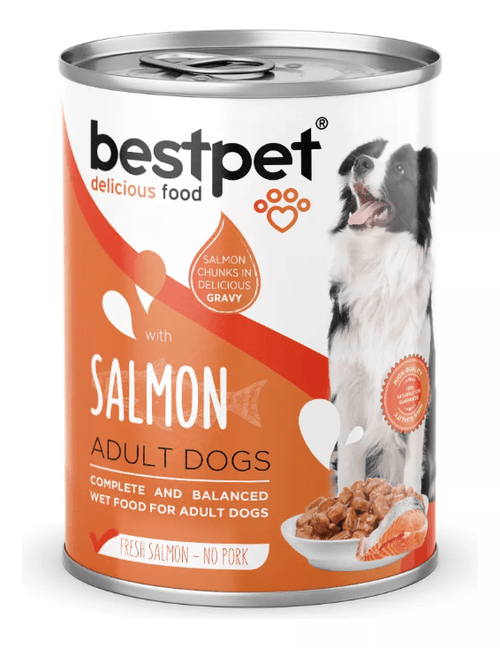 BestPet Perro Adulto Salmón Lata